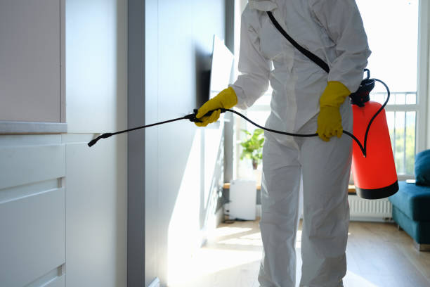 Office Mold Removal Services in West Belmar, NJ