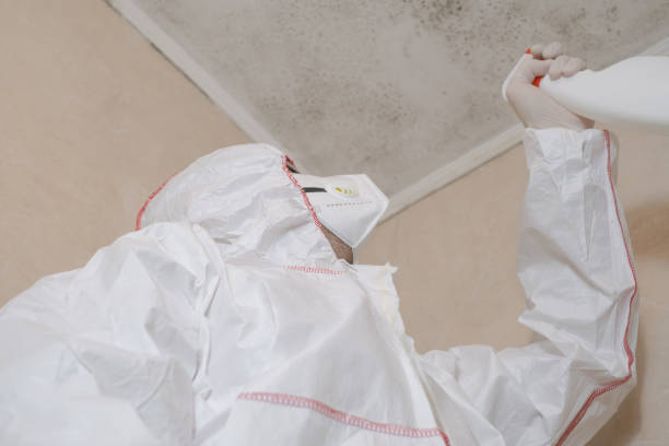 Best Toxic Mold Removal  in West Belmar, NJ