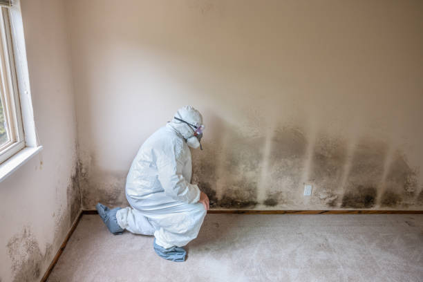 Best Residential Mold Removal  in West Belmar, NJ